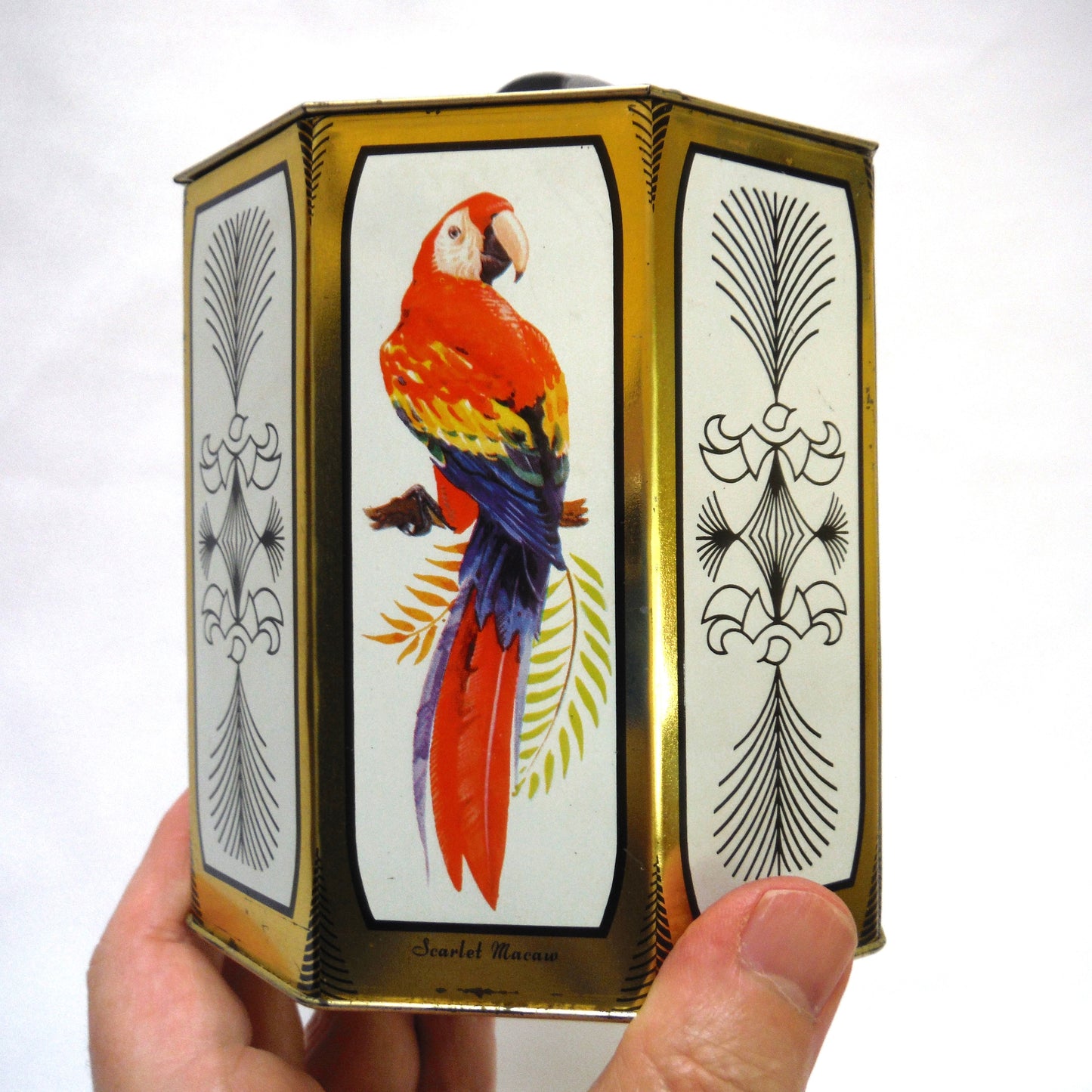 Vintage Rare-Birds-Inspired Tea Caddy, by Peek, Frean of London