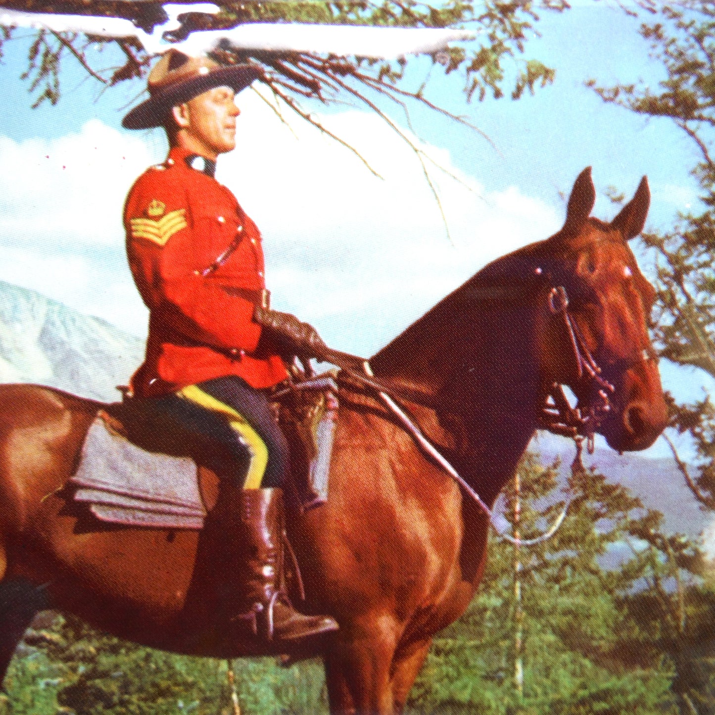 Vintage Tin by Riley's Toffee of Halifax, England: 'CANADIAN MOUNTIE ON PATROL'