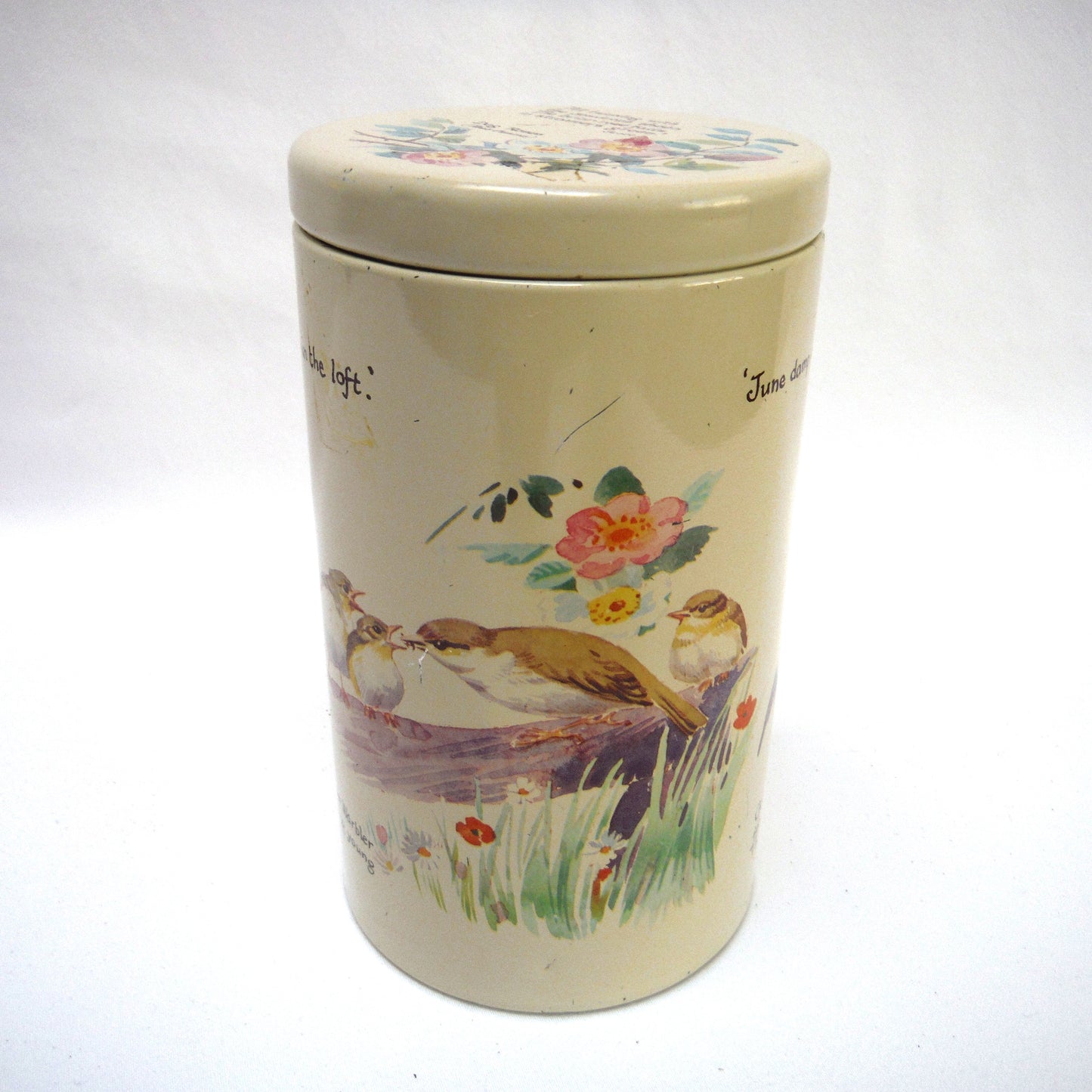 Vintage 1977 Round TEA TIN CADDY by Richard Webb of England: "BIRDS, BIRDS, BIRDS"