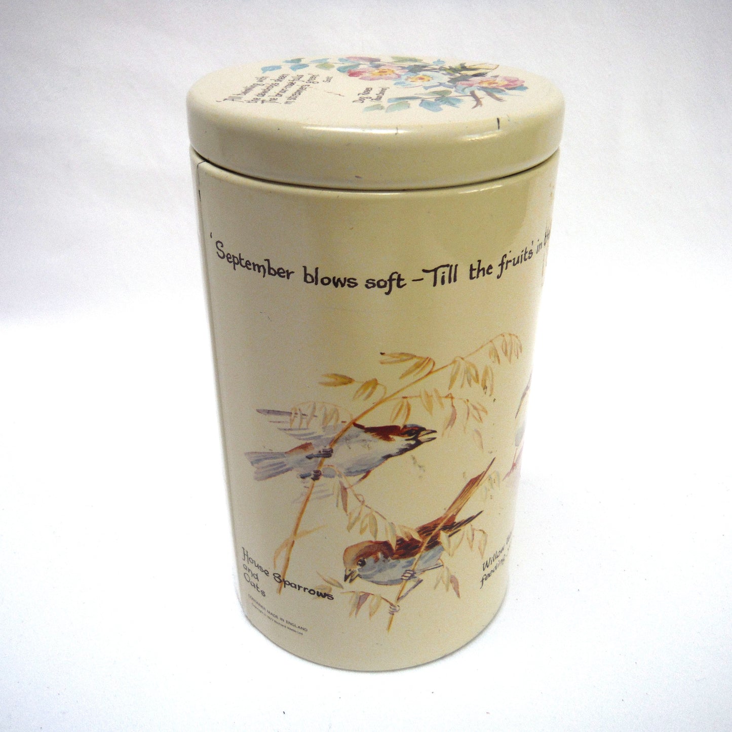 Vintage 1977 Round TEA TIN CADDY by Richard Webb of England: "BIRDS, BIRDS, BIRDS"