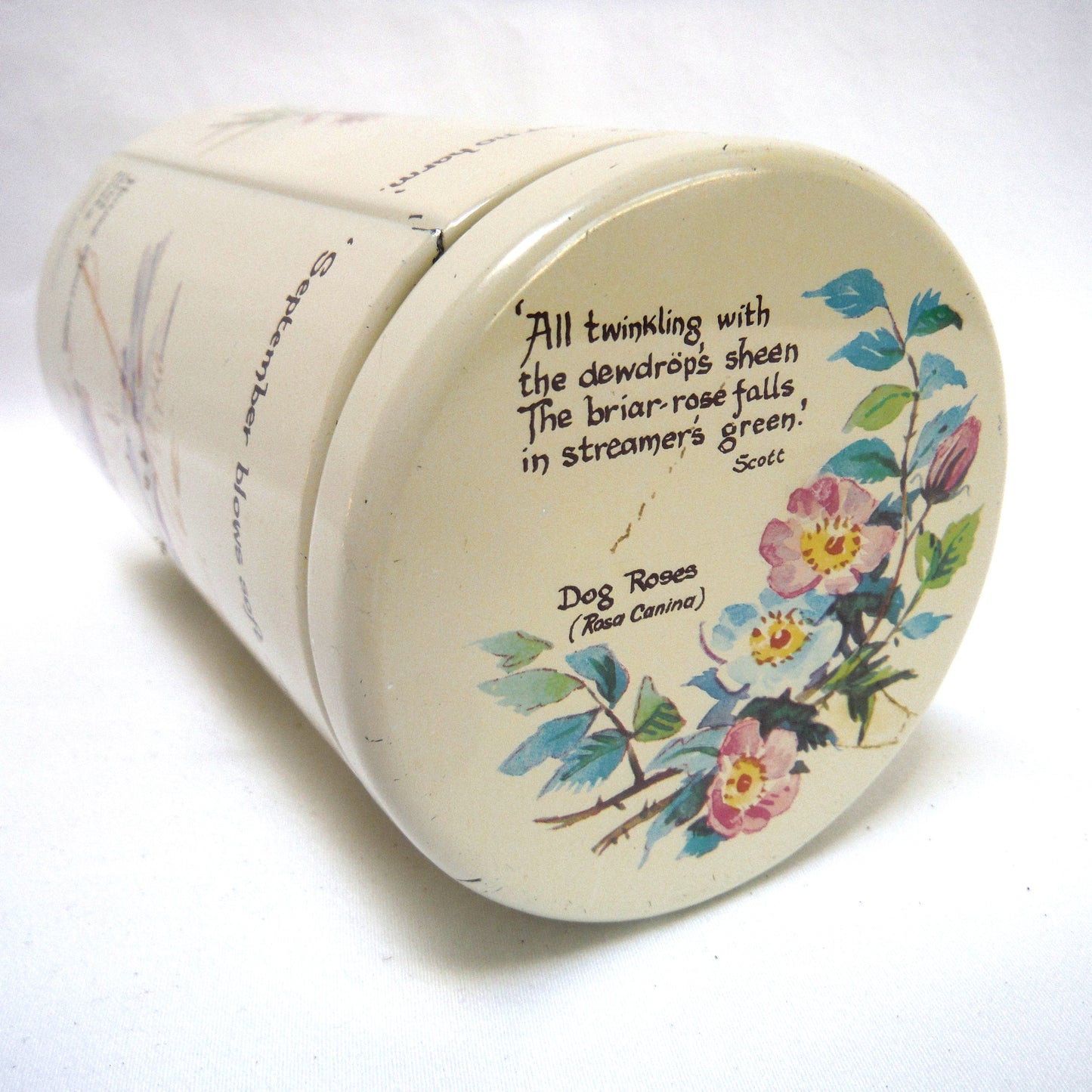 Vintage 1977 Round TEA TIN CADDY by Richard Webb of England: "BIRDS, BIRDS, BIRDS"