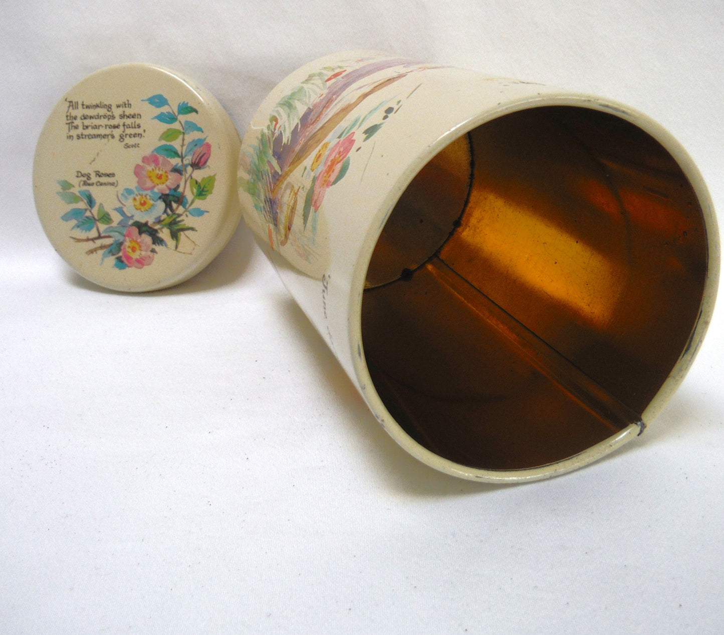 Vintage 1977 Round TEA TIN CADDY by Richard Webb of England: "BIRDS, BIRDS, BIRDS"