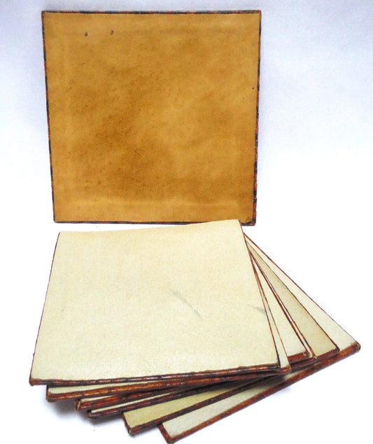 Coasters, Vintage Set of 6, 'LIZARD, SNAKE or CROCODILE SKIN COASTERS', with a Large Flat Matching Holder, 1980's