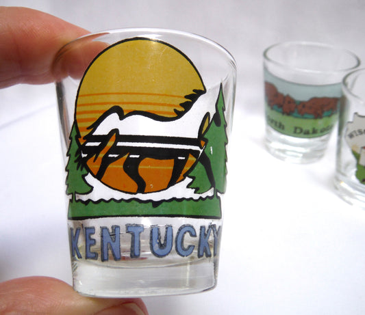 Vintage 1970's American Colour-Imprinted Liquor Shot Glasses: KENTUCKY, NORTH DAKOTA, or WISCONSIN (Individually Priced)