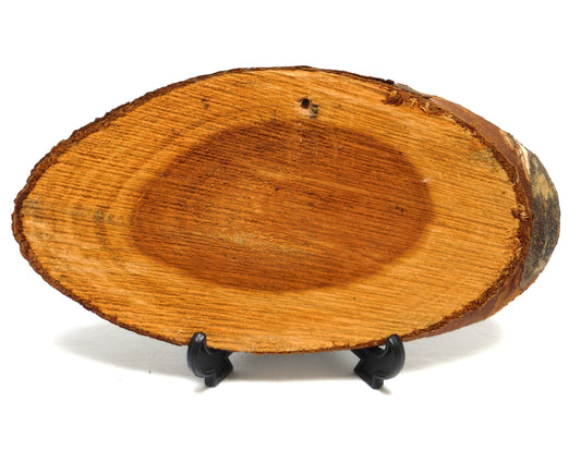 ANTIQUE HAND-PAINTED LIVE-EDGE SLAB OF CANADIAN HARDWOOD: Rustic Western Cabin Scene, Signed by P.I. Arnold