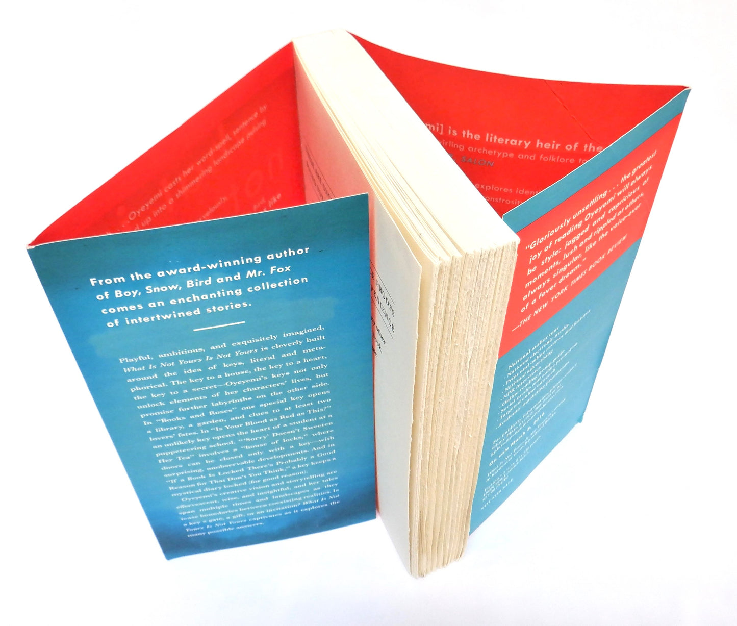 WHAT IS NOT YOURS IS NOT YOURS, Stories by Helen Oyeyemi (2016-RARE Uncorrected Proof Edition)