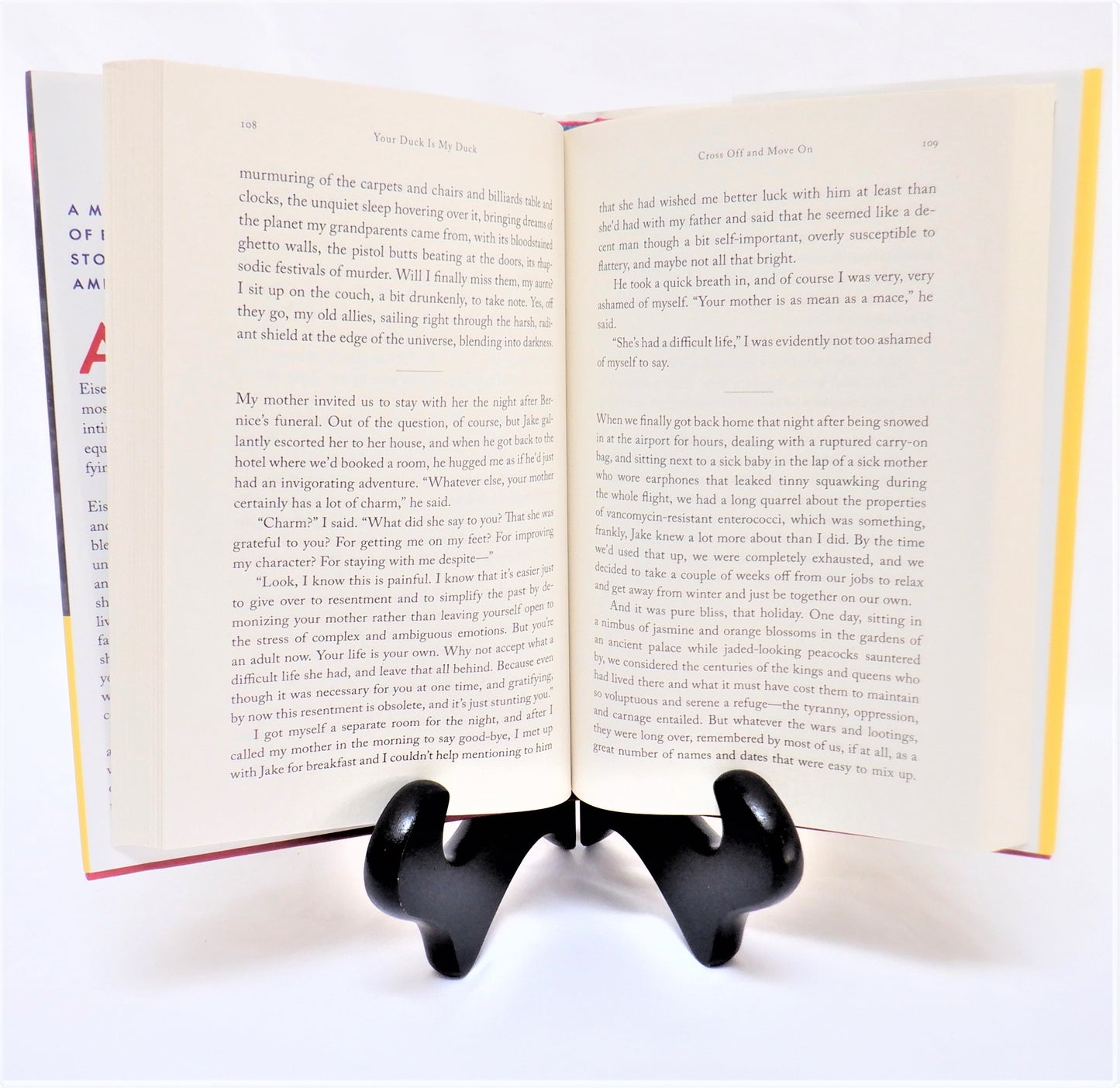 YOUR DUCK IS MY DUCK, Stories by Deborah Eisenberg (2018 1st Ed.)