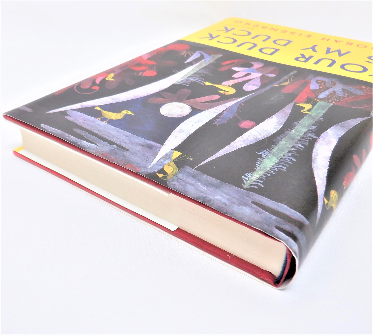 YOUR DUCK IS MY DUCK, Stories by Deborah Eisenberg (2018 1st Ed.)
