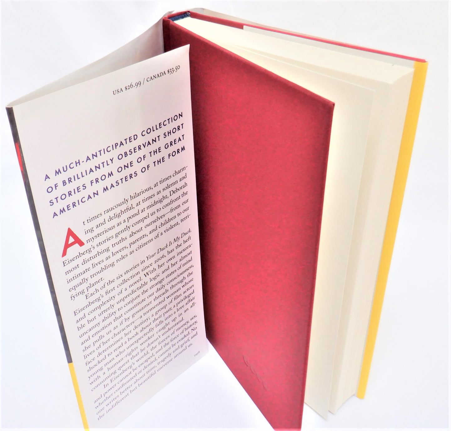 YOUR DUCK IS MY DUCK, Stories by Deborah Eisenberg (2018 1st Ed.)