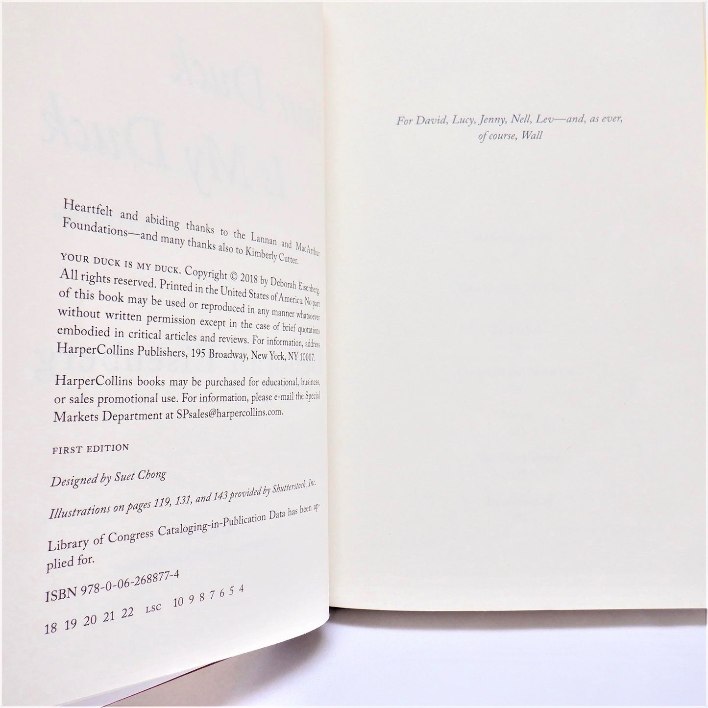 YOUR DUCK IS MY DUCK, Stories by Deborah Eisenberg (2018 1st Ed.)