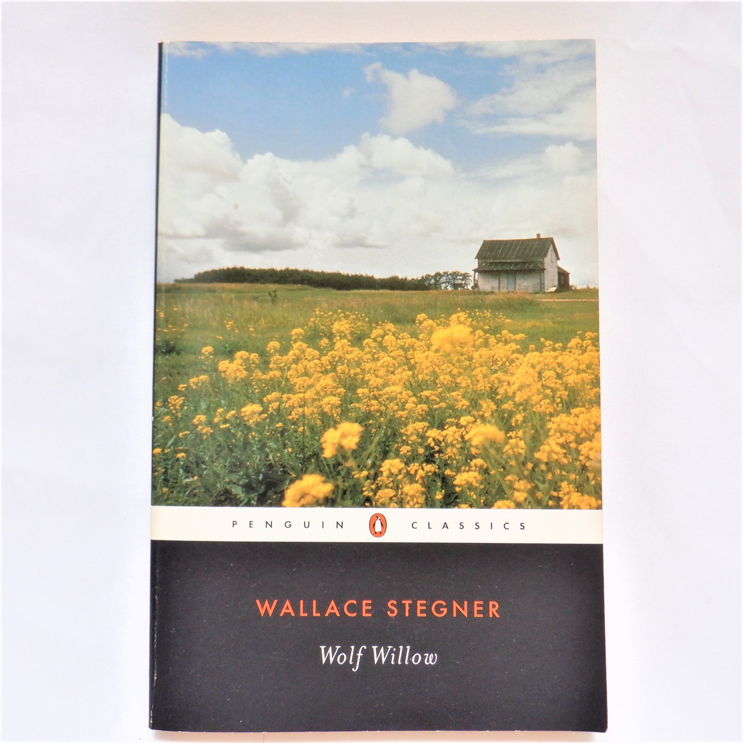 WOLF WILLOW, A History, A Story, and a Memory of the Last Plains Frontier, A Novel by Wallace Stegner, 2000