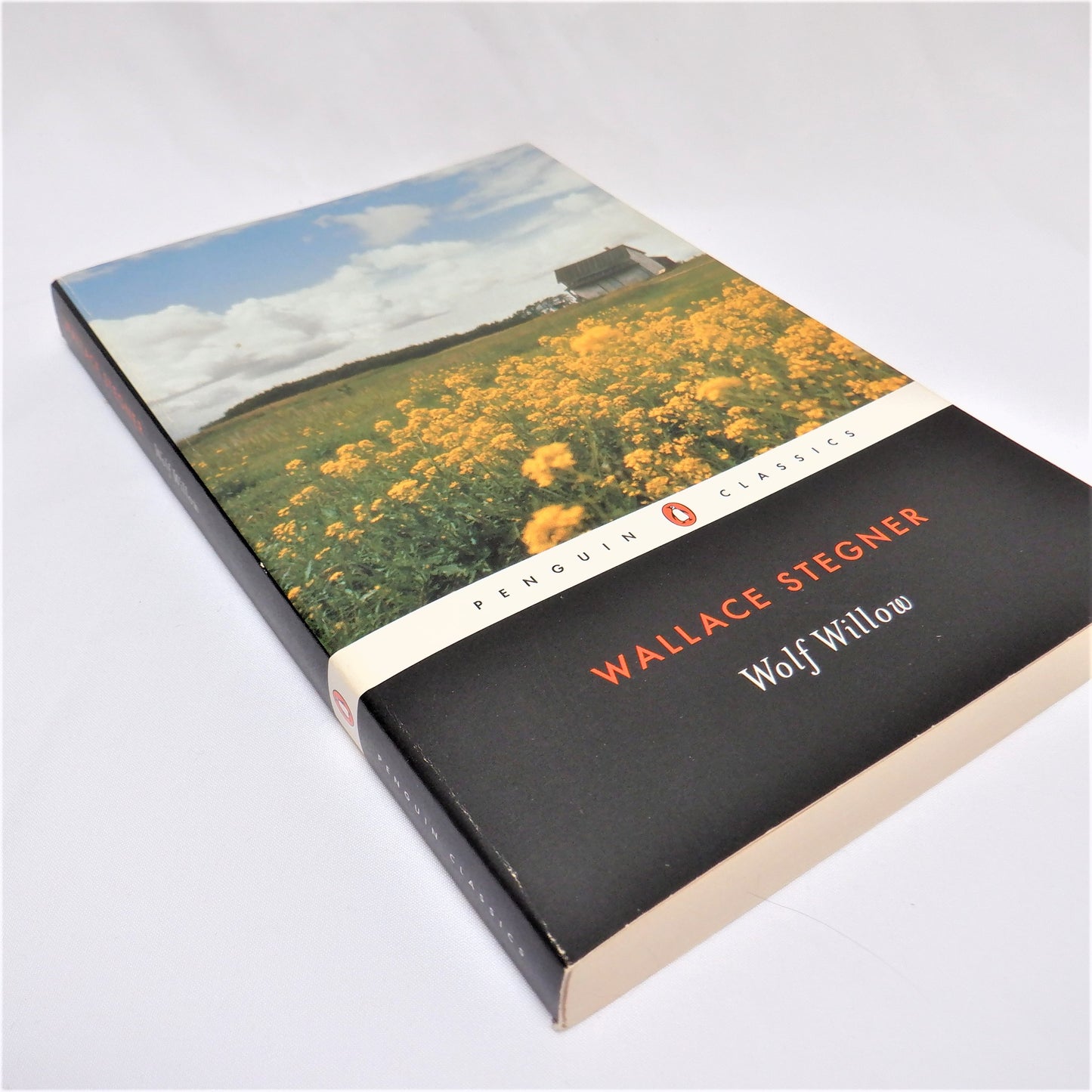 WOLF WILLOW, A History, A Story, and a Memory of the Last Plains Frontier, A Novel by Wallace Stegner, 2000