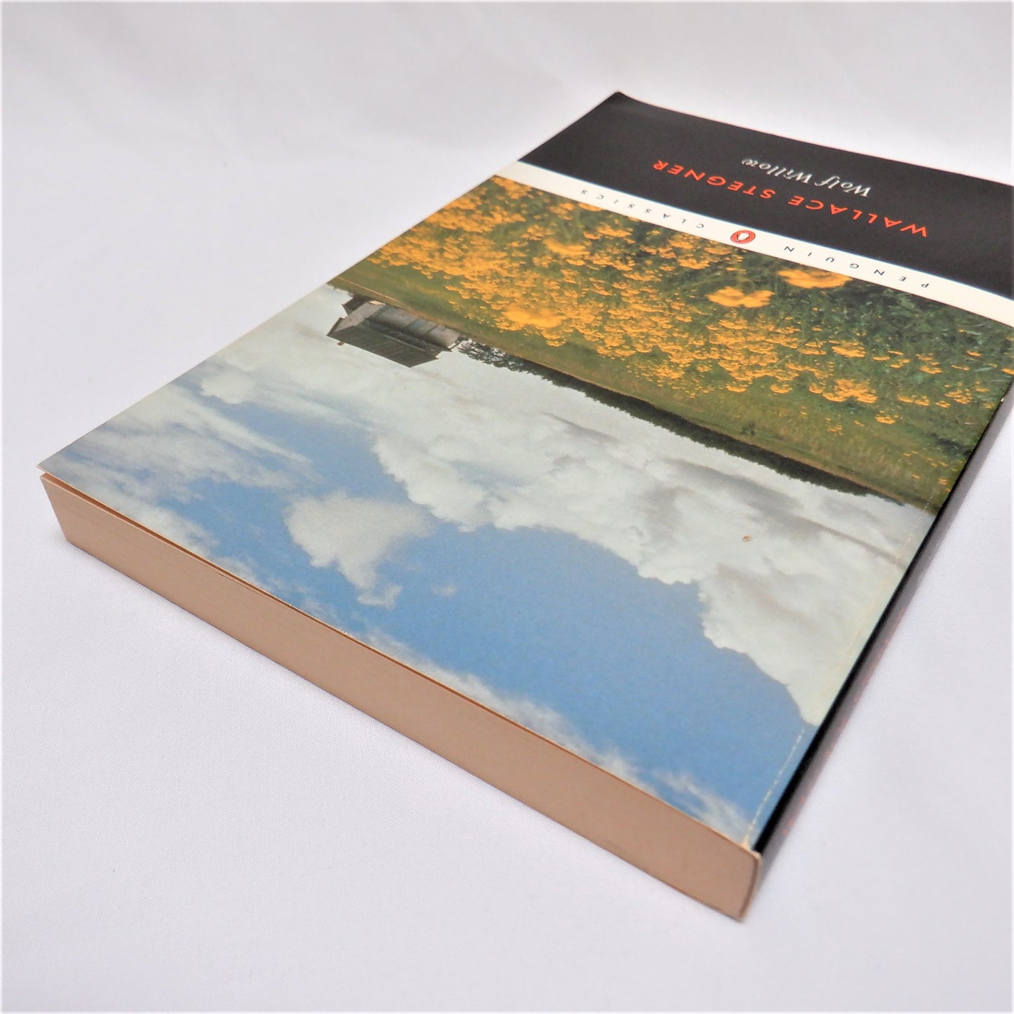 WOLF WILLOW, A History, A Story, and a Memory of the Last Plains Frontier, A Novel by Wallace Stegner, 2000
