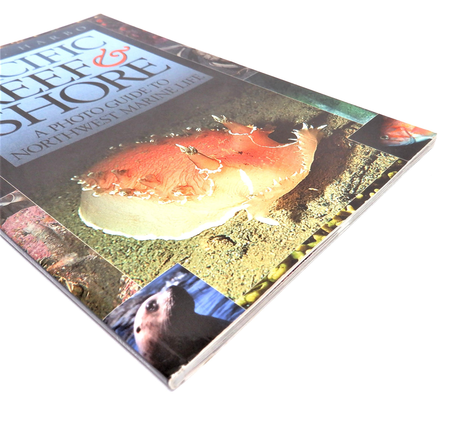 PACIFIC REEF & SHORE, A Photo Guide to Northwest Marine Life, by R. M. Harbo, (2006 1st Ed.)