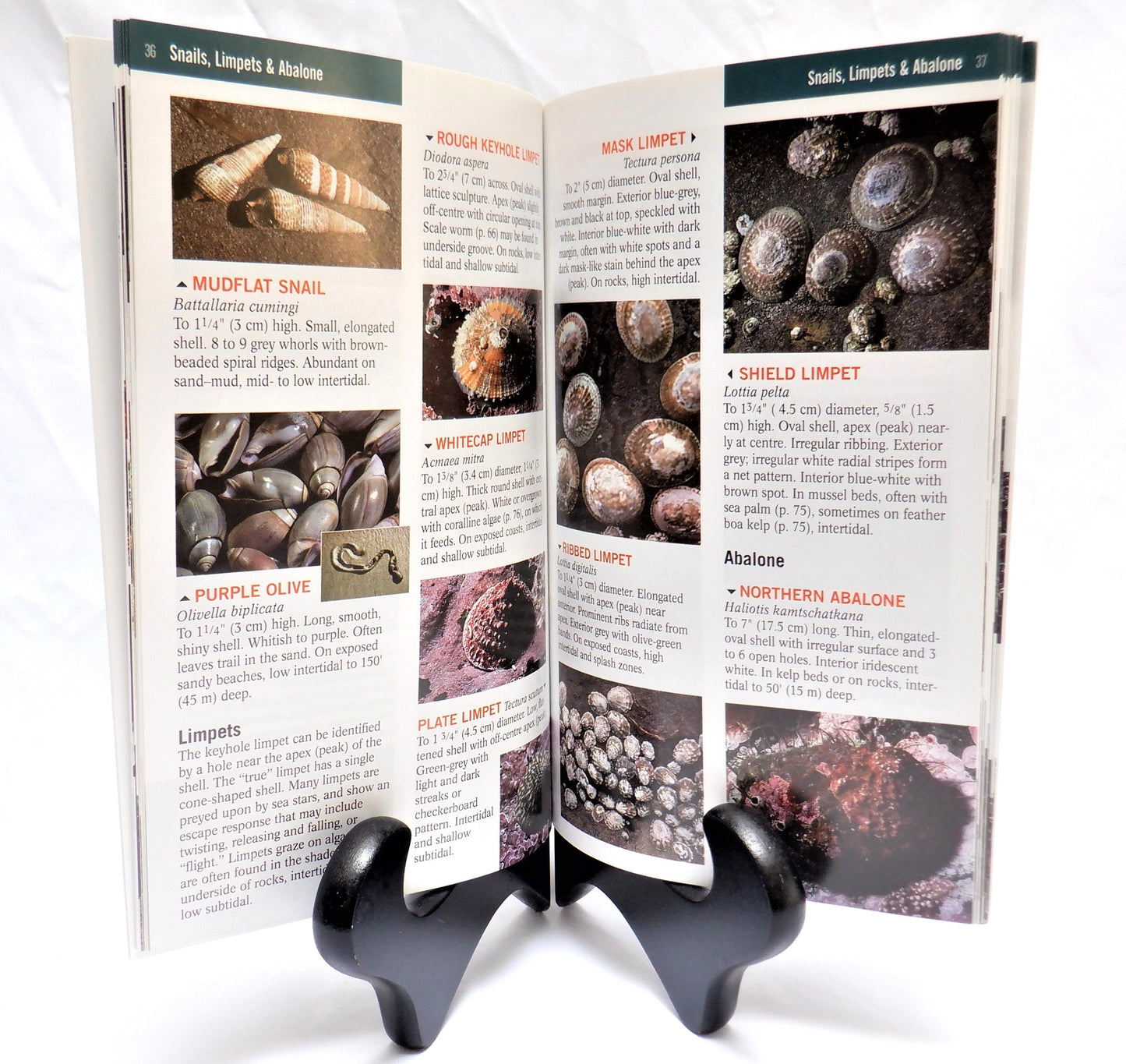 PACIFIC REEF & SHORE, A Photo Guide to Northwest Marine Life, by R. M. Harbo, (2006 1st Ed.)