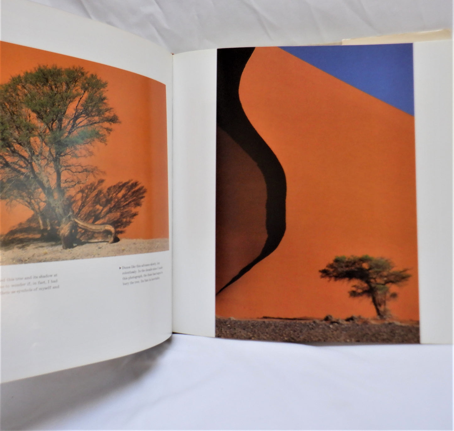 SHADOW LIGHT, A Photographer's Life by Freeman Patterson, (1996 1st Ed.)