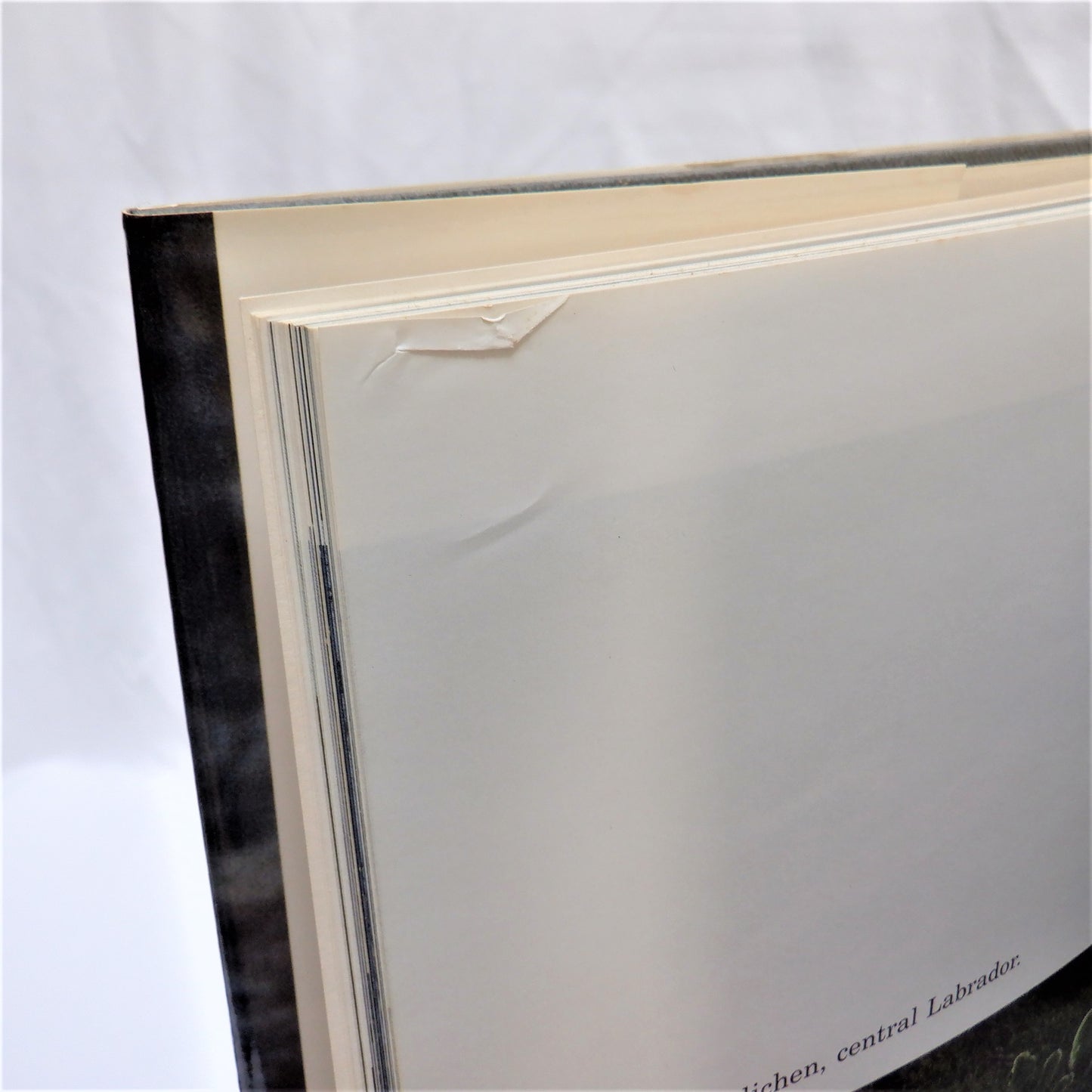 EXPLORING LABRADOR, A Photographic Journey by Brian C. Bursey (1st Ed. SIGNED)