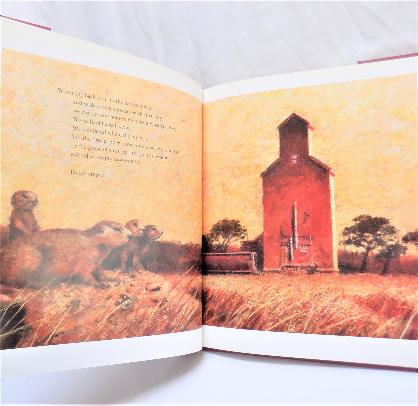 PRAIRIE SUMMER, A Young Reader Story by Nancy Hundal (1st Ed. SIGNED)