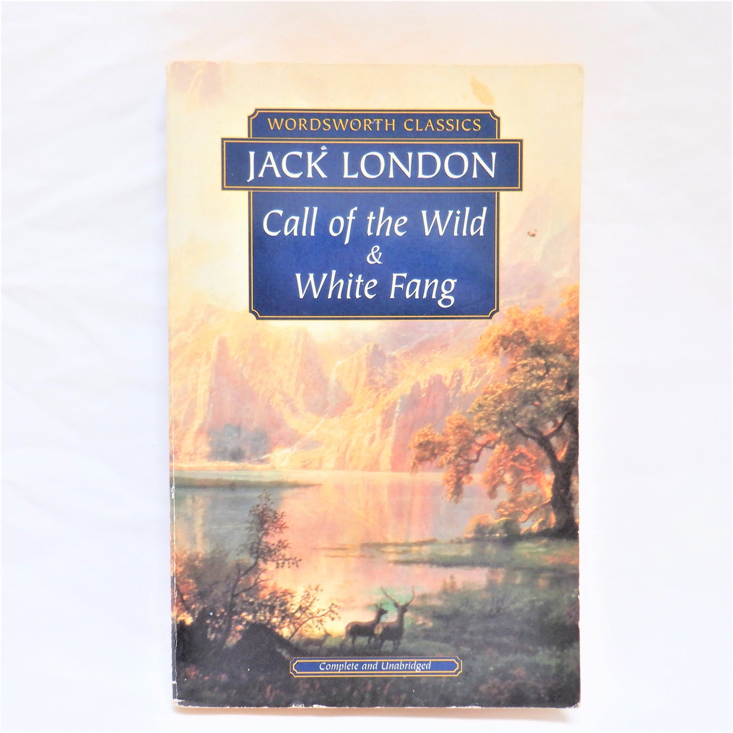 CALL OF THE WILD, and WHITE FANG, A Wordsworth Classics Two-Books-In-One, by Jack London, 1992