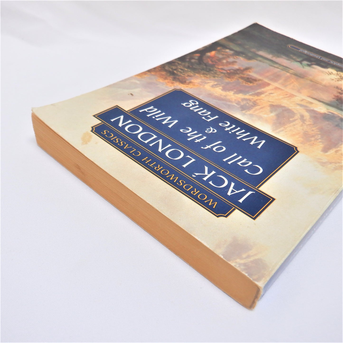 CALL OF THE WILD, and WHITE FANG, A Wordsworth Classics Two-Books-In-One, by Jack London, 1992