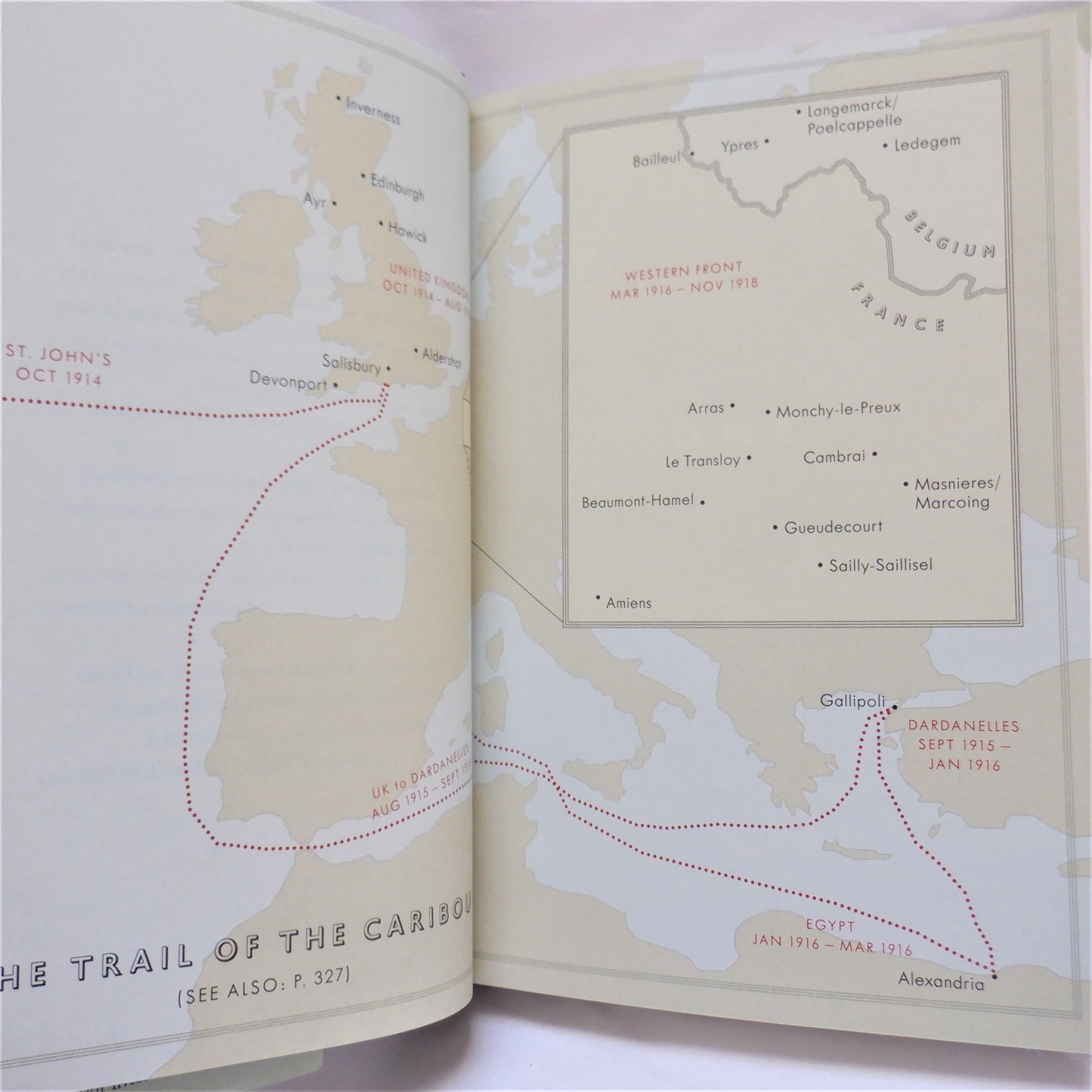INTO THE BLIZZARD, Walking The Fields of the Newfoundland Dead, by Michael Winter (2014 1st Ed.)