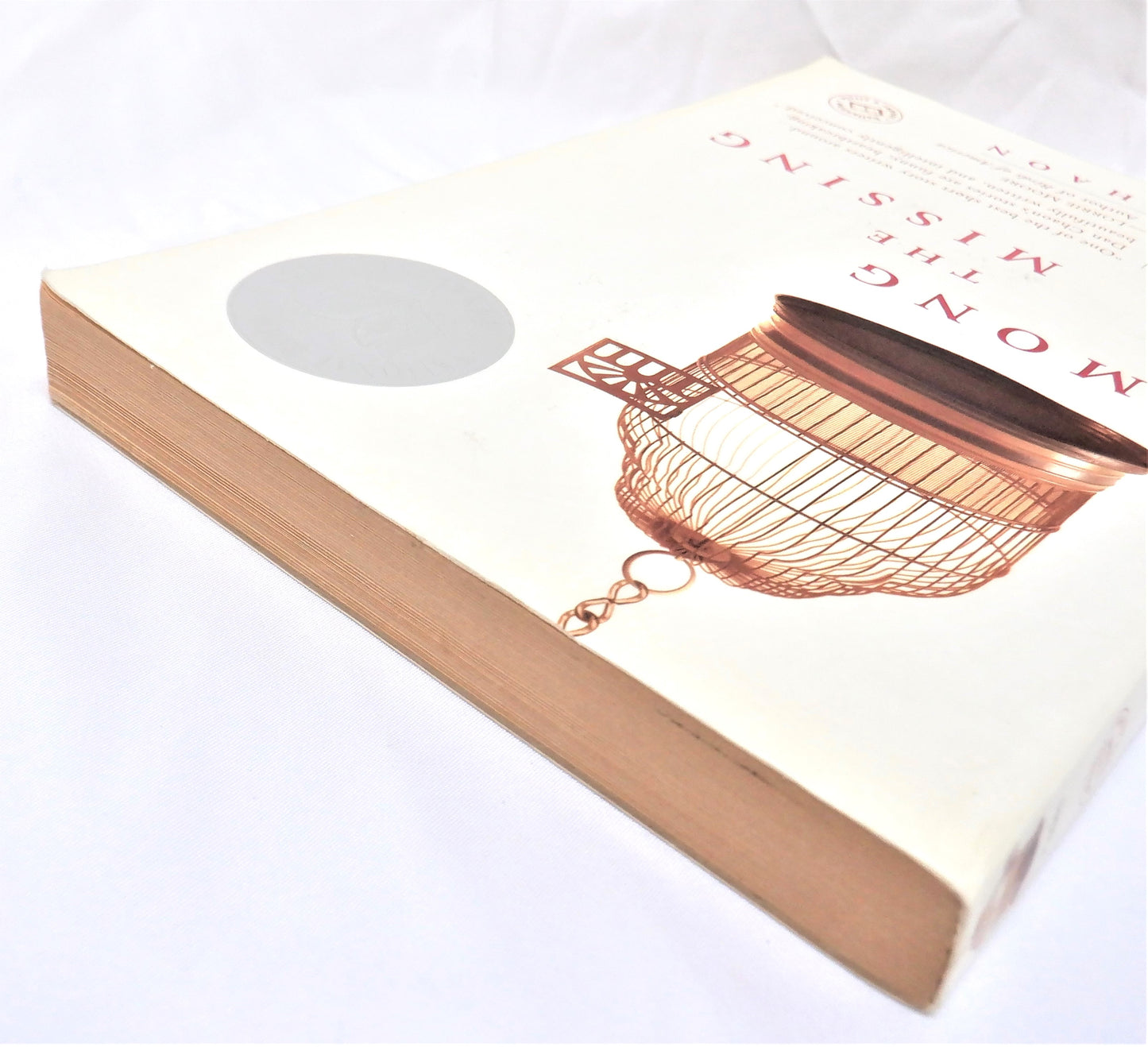 AMONG THE MISSING, A Short Stories Collection by Dan Chaon (1st Ed. SIGNED)