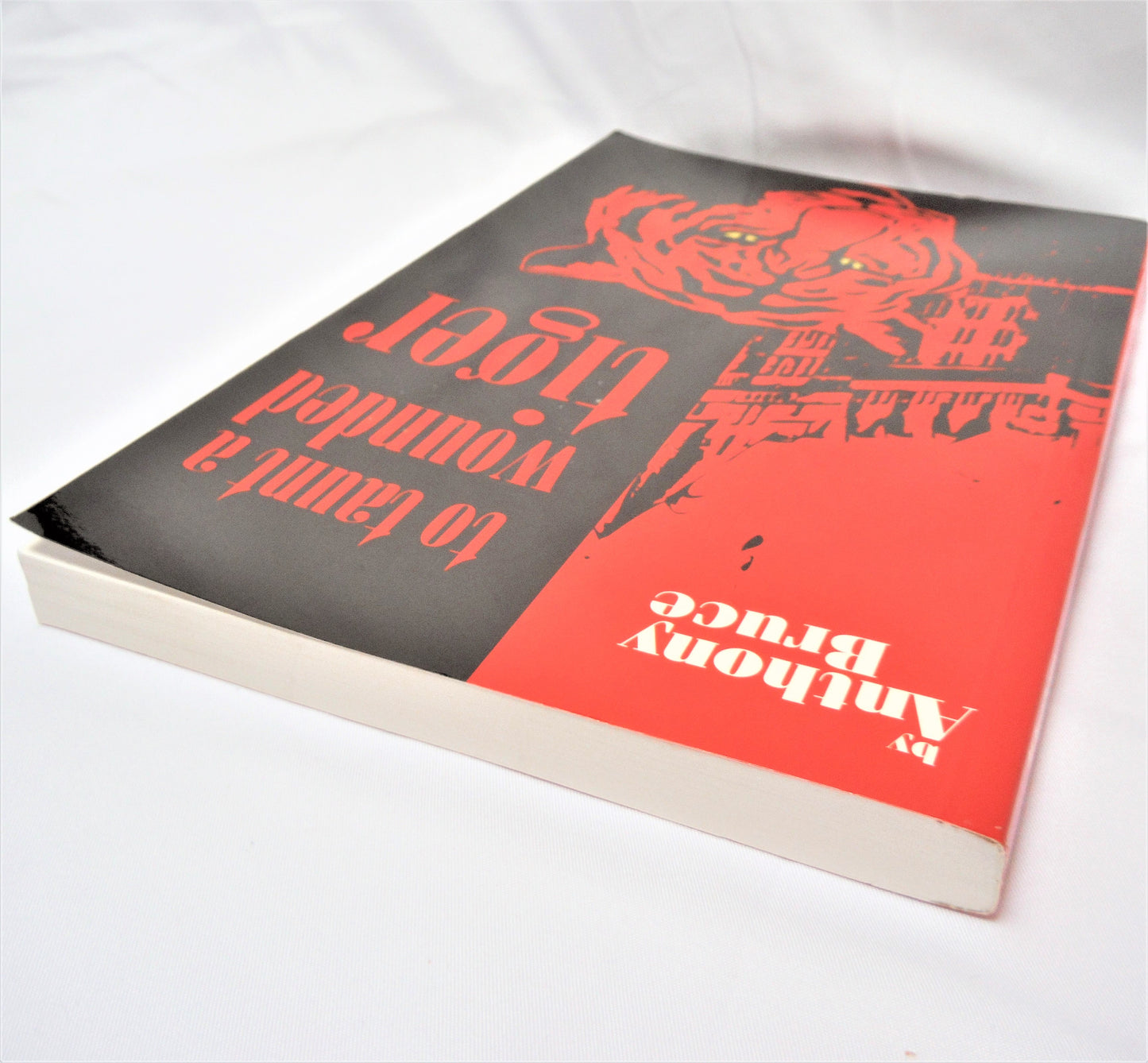 TO TAUNT A WOUNDED DRAGON, An Adventure Novel by Anthony Bruce (1st Ed. SIGNED)