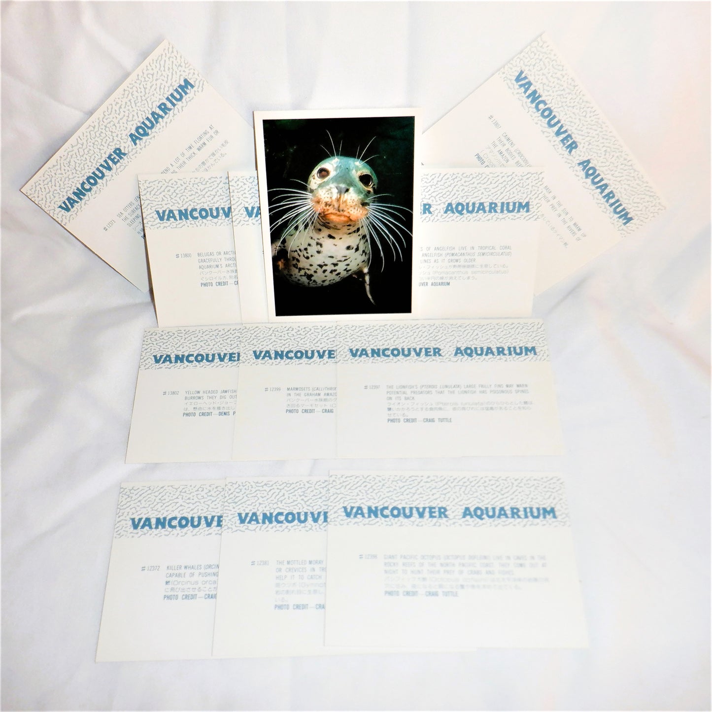 VANCOUVER AQUARIUM, British Columbia, Canada: 12-Real Animal Photograph Vintage Souvenir Set, Made in JAPAN, 1991
