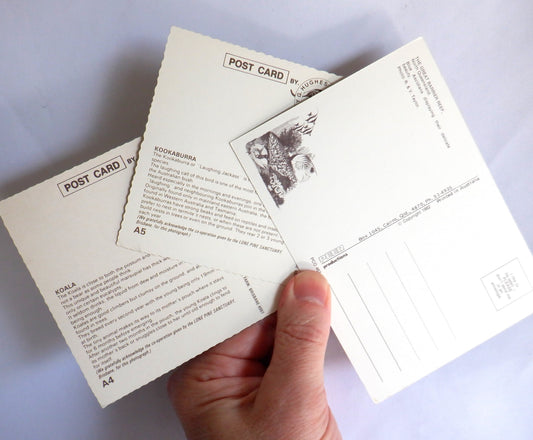 POSTCARD, Set of 3, Vintage Photo Postcards of Storycard Animals & The Australian Great Barrier Reef, AUSTRALIA