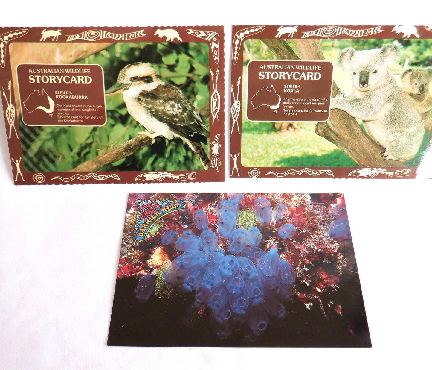 POSTCARD, Set of 3, Vintage Photo Postcards of Storycard Animals & The Australian Great Barrier Reef, AUSTRALIA