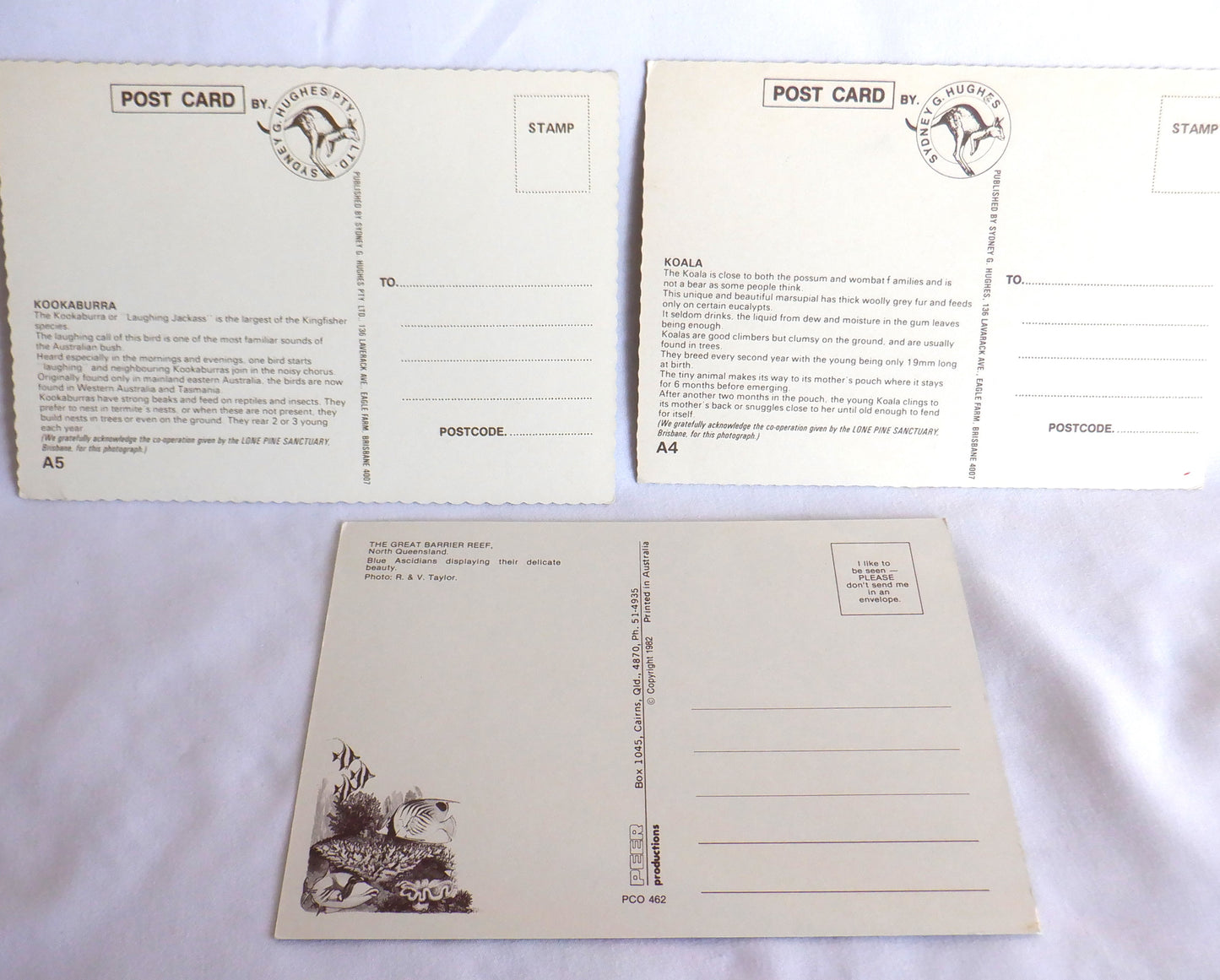 POSTCARD, Set of 3, Vintage Photo Postcards of Storycard Animals & The Australian Great Barrier Reef, AUSTRALIA