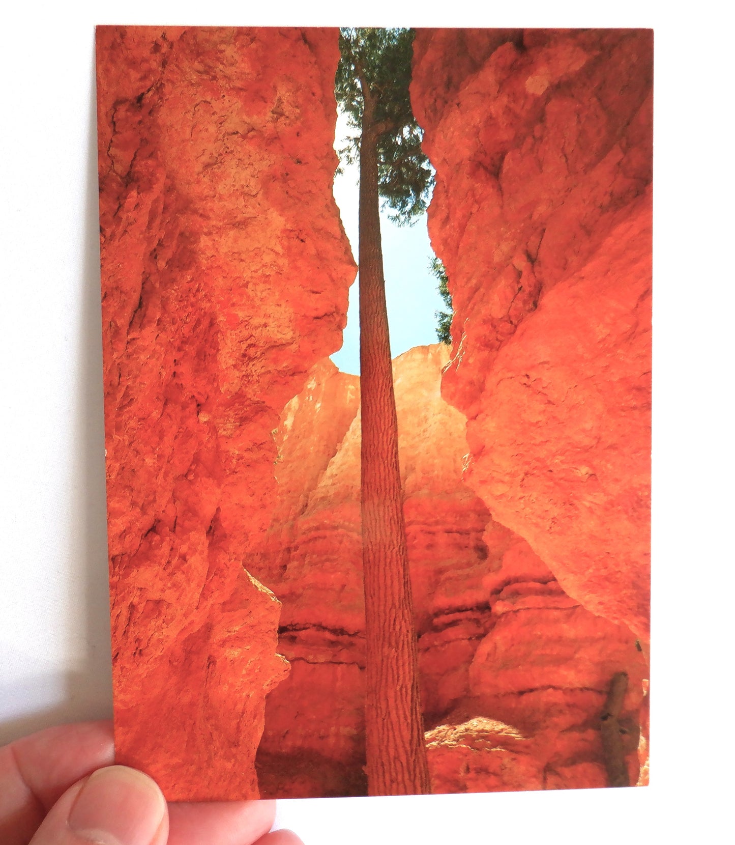 POSTCARD, Set of 6, Stunning Vintage Postcards of Bryce Canyon in Utah, UNITED STATES OF AMERICA