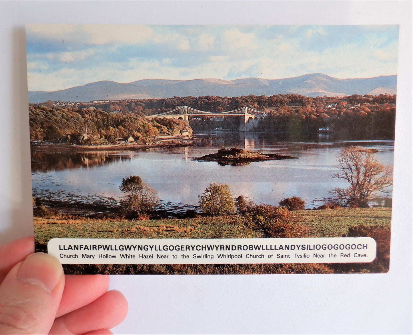 POSTCARD, Set of 1, The Wales Village with the World's Longest Name! UNITED KINGDOM