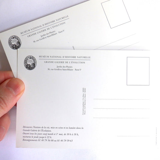 POSTCARD, Set of 2, Vintage Fish & Butterfly Postcards from Le Museum National D'Histoire Naturelle, PARIS, FRANCE