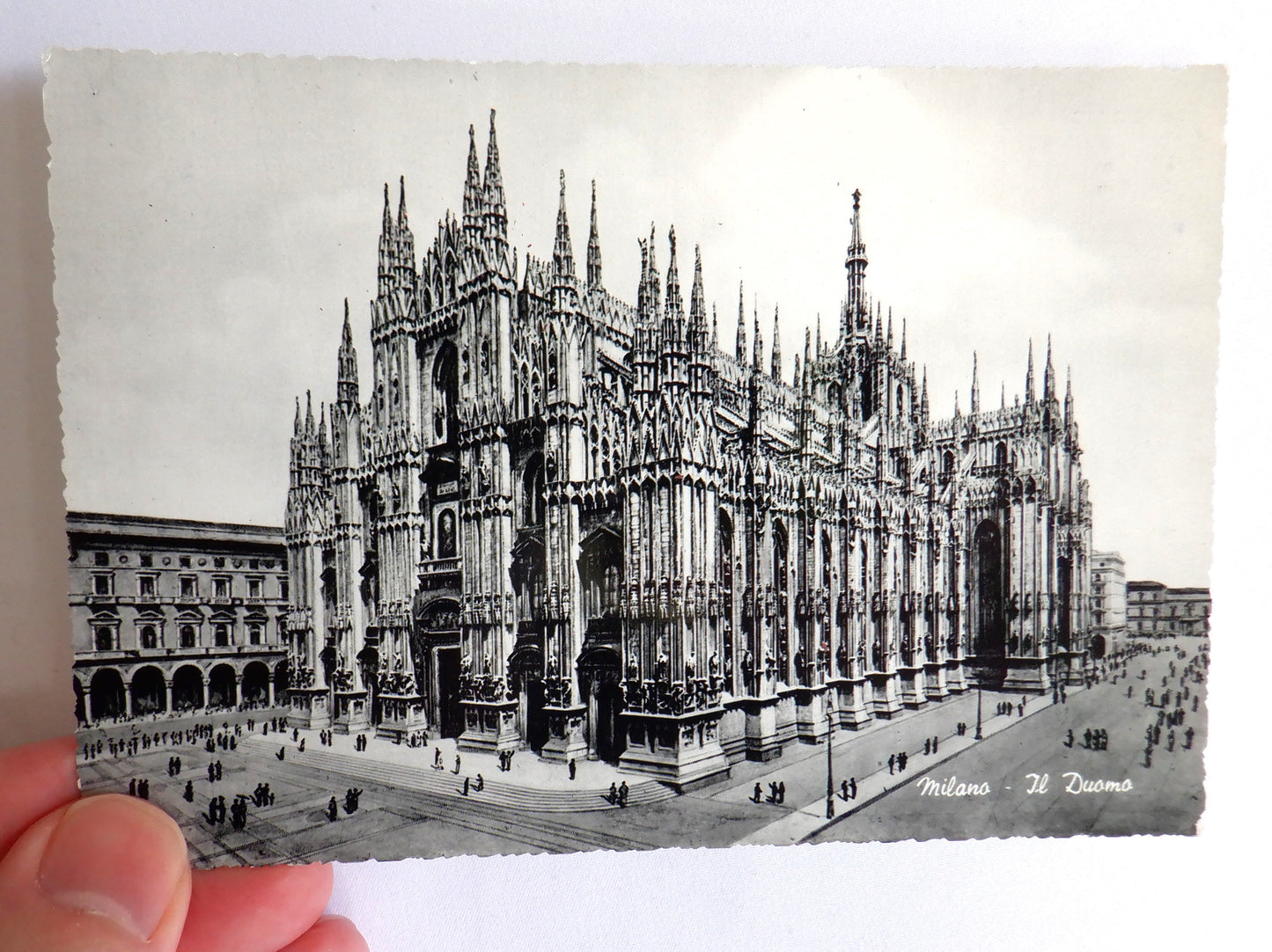 POSTCARD, Set of 2, RARE Vintage Black & White Photo Postcards of The Milano & Siena Cathedrals, ITALY