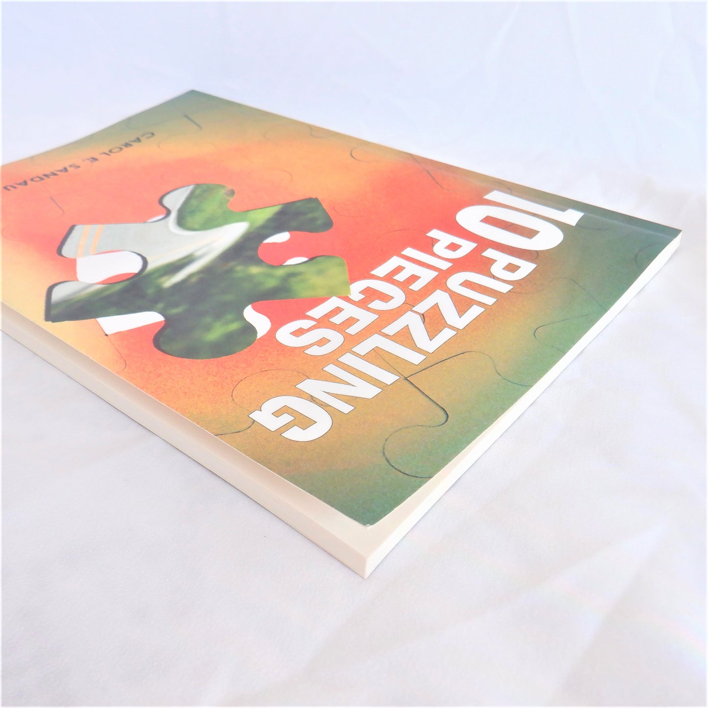 10 PUZZLING PIECES, A Short Story Collection for Young Readers, by Carol E. Sandau (1st Ed. SIGNED)