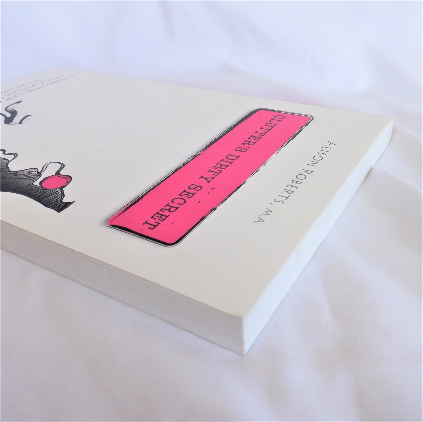 CLUTTER'S DIRTY SECRET, A Provocative Look at the Media's Impact on Our Spending Habits, by Alison Roberts, M.A. (1st Ed. SIGNED)