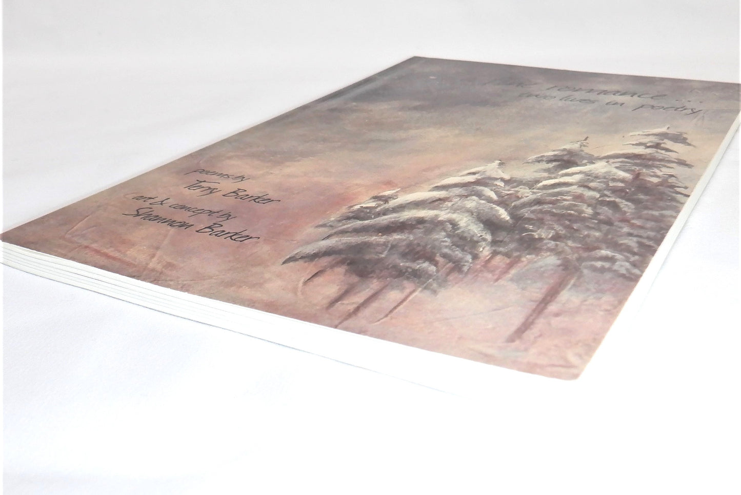 A FINE ROMANCE, TWO LIVES IN POETRY, Poems by Terry Barker & Art by Shannon Barker (1st Ed. SIGNED)