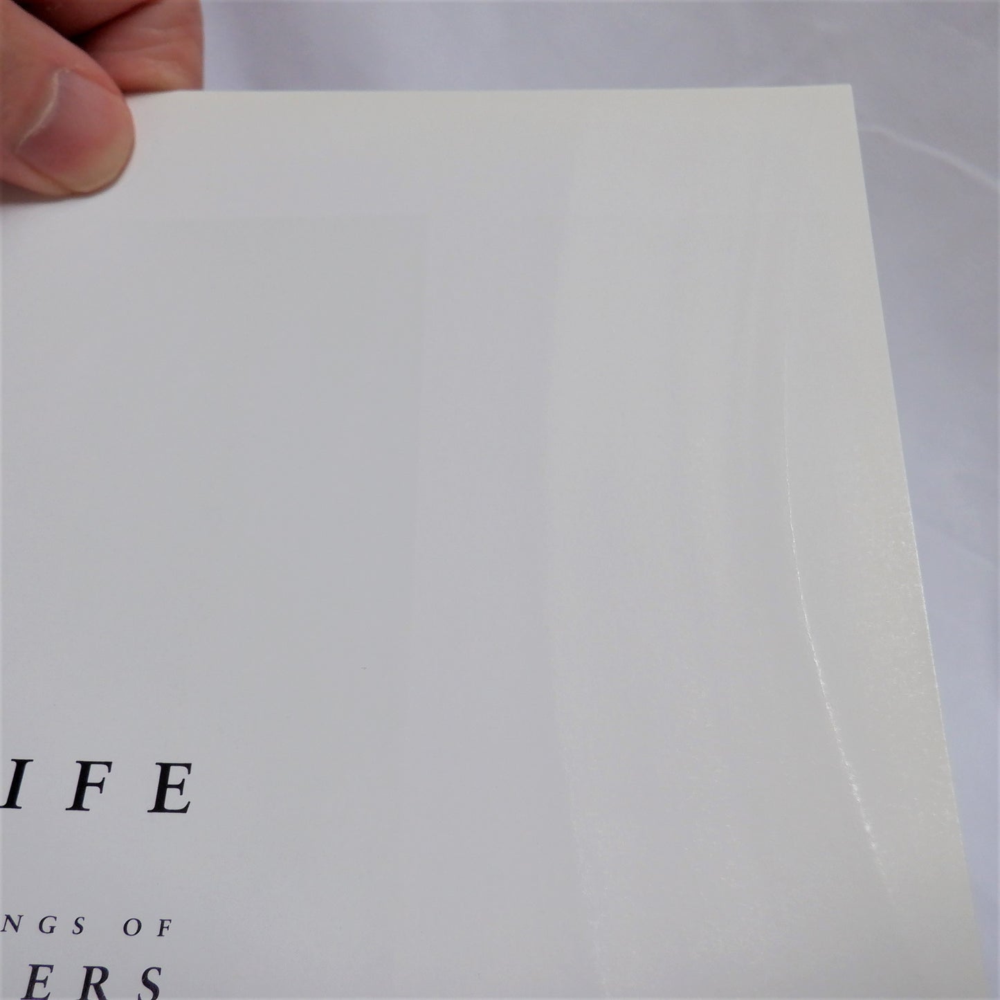 WILDLIFE, The Nature Paintings of Carl Brenders (1st Ed. SIGNED)