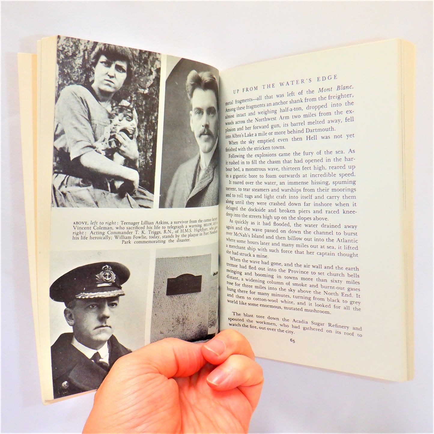THE TOWN THAT DIED, A Chronicle of the Halifax Disaster, by Michael J. Bird (1967 1st Ed.)