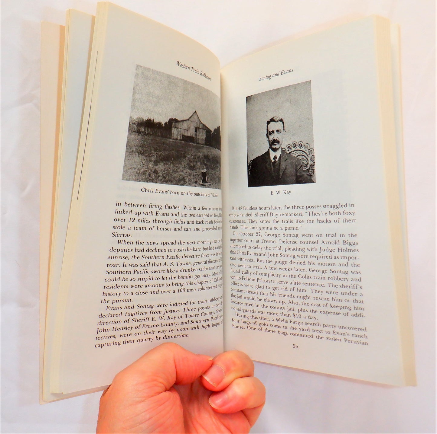 GREAT WESTERN TRAIN ROBBERS, Stories by Don Denevi (1976 1st Ed.)