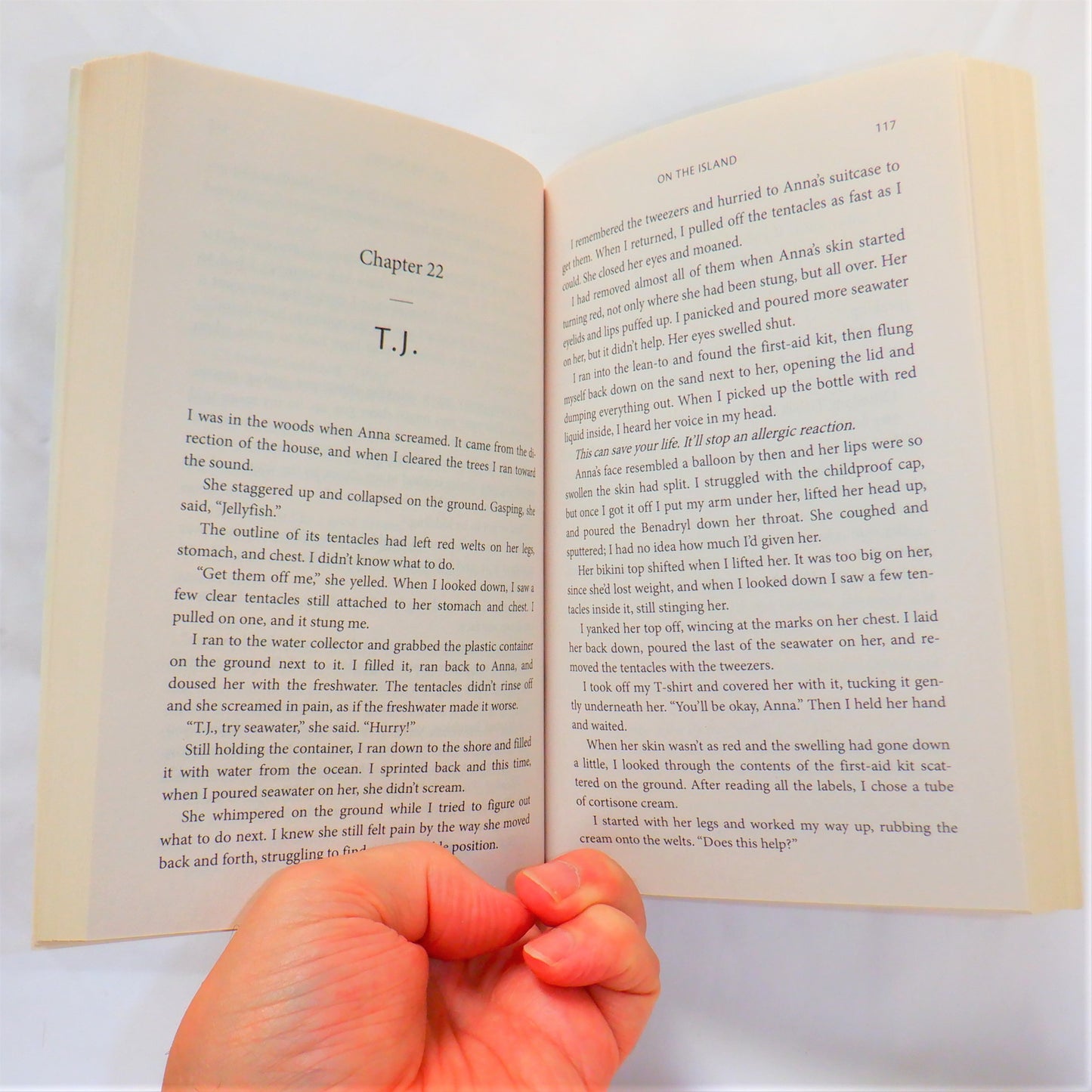 ON THE ISLAND, The Debut Novel by Tracey Garvis Graves (2012 1st Ed.)