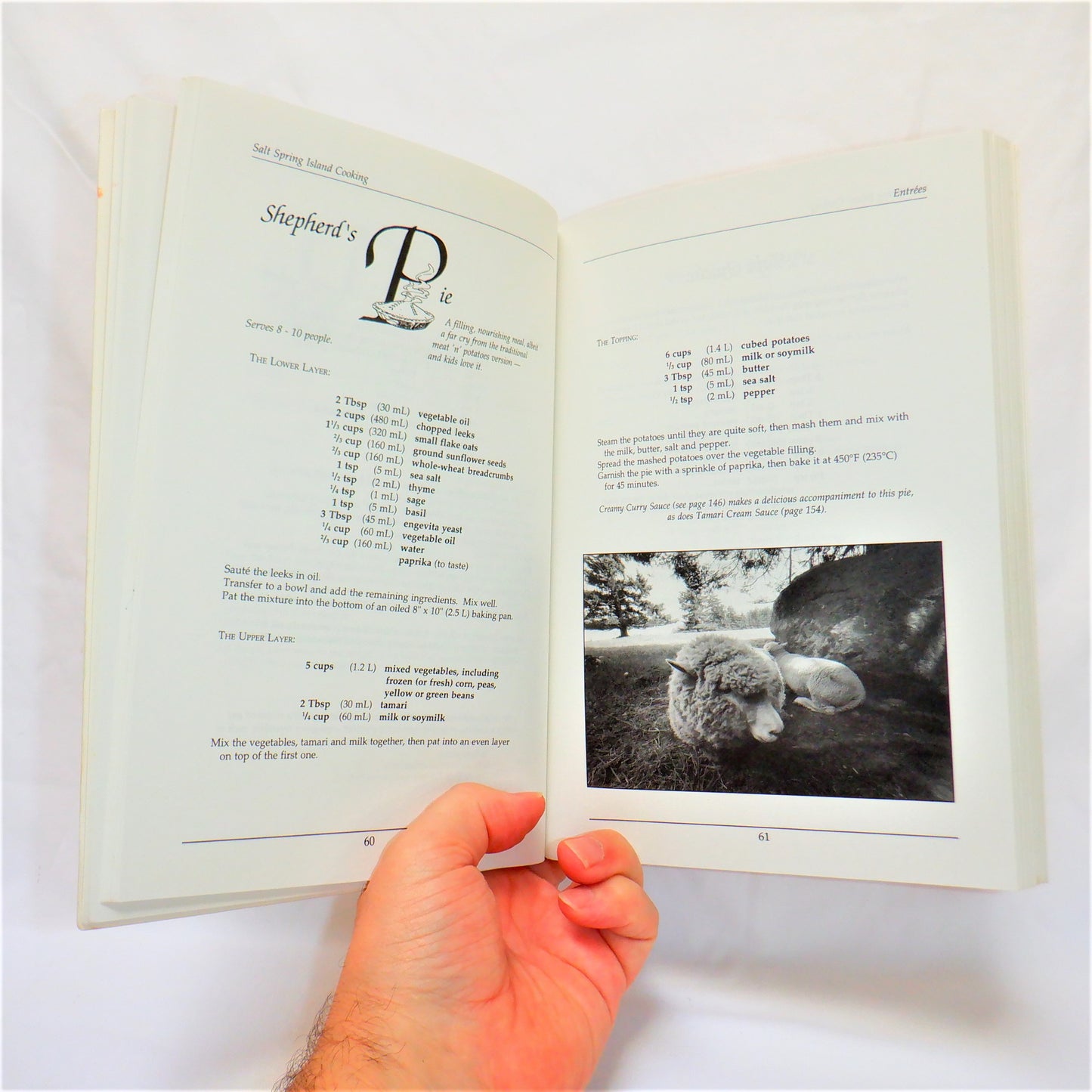 SALT SPRING ISLAND COOKING…Vegetarian Recipes from the Salt Spring Centre, by Rodney Polden & Pamela Thornley (1993 1st Ed.)