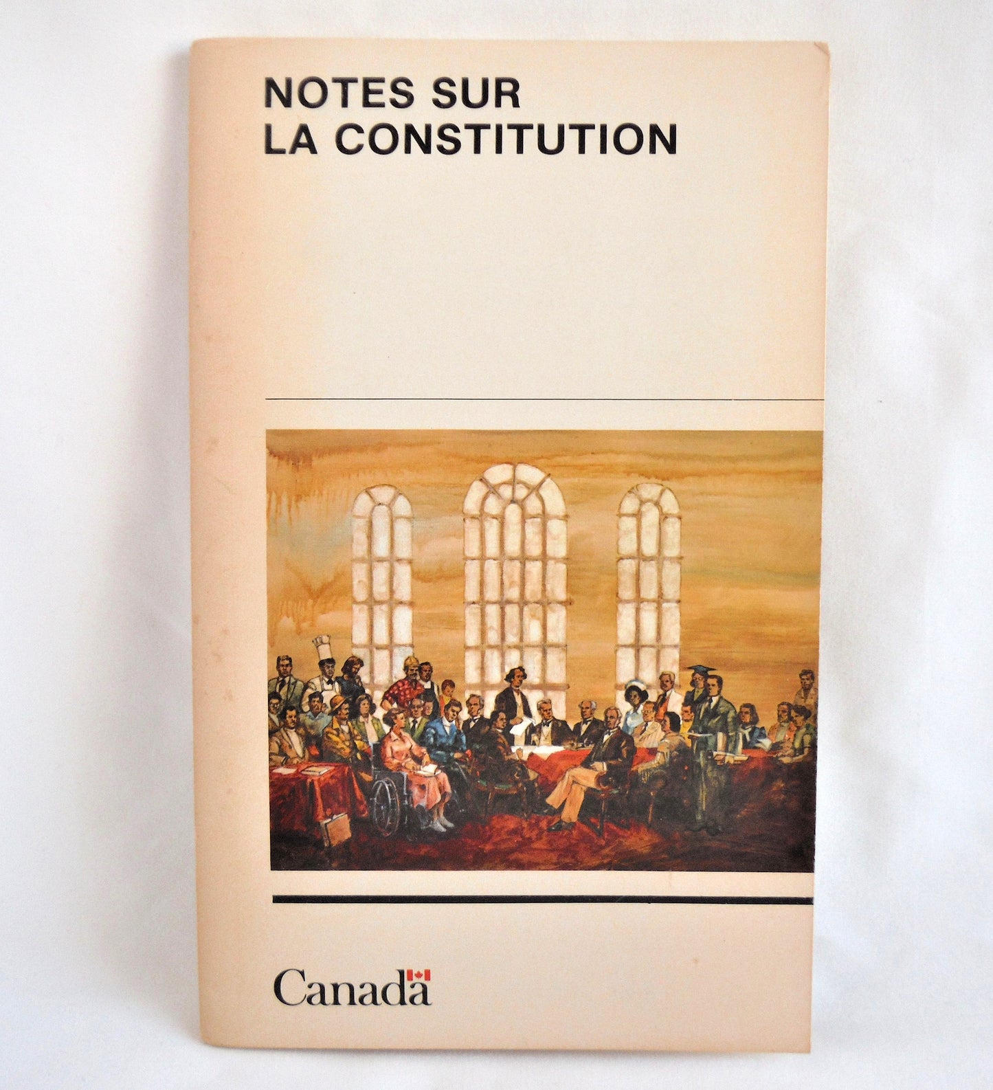 THE CONSTITUTION AND YOU, a Constitution Act Canadian Government Instructional Guide Publication, 1982