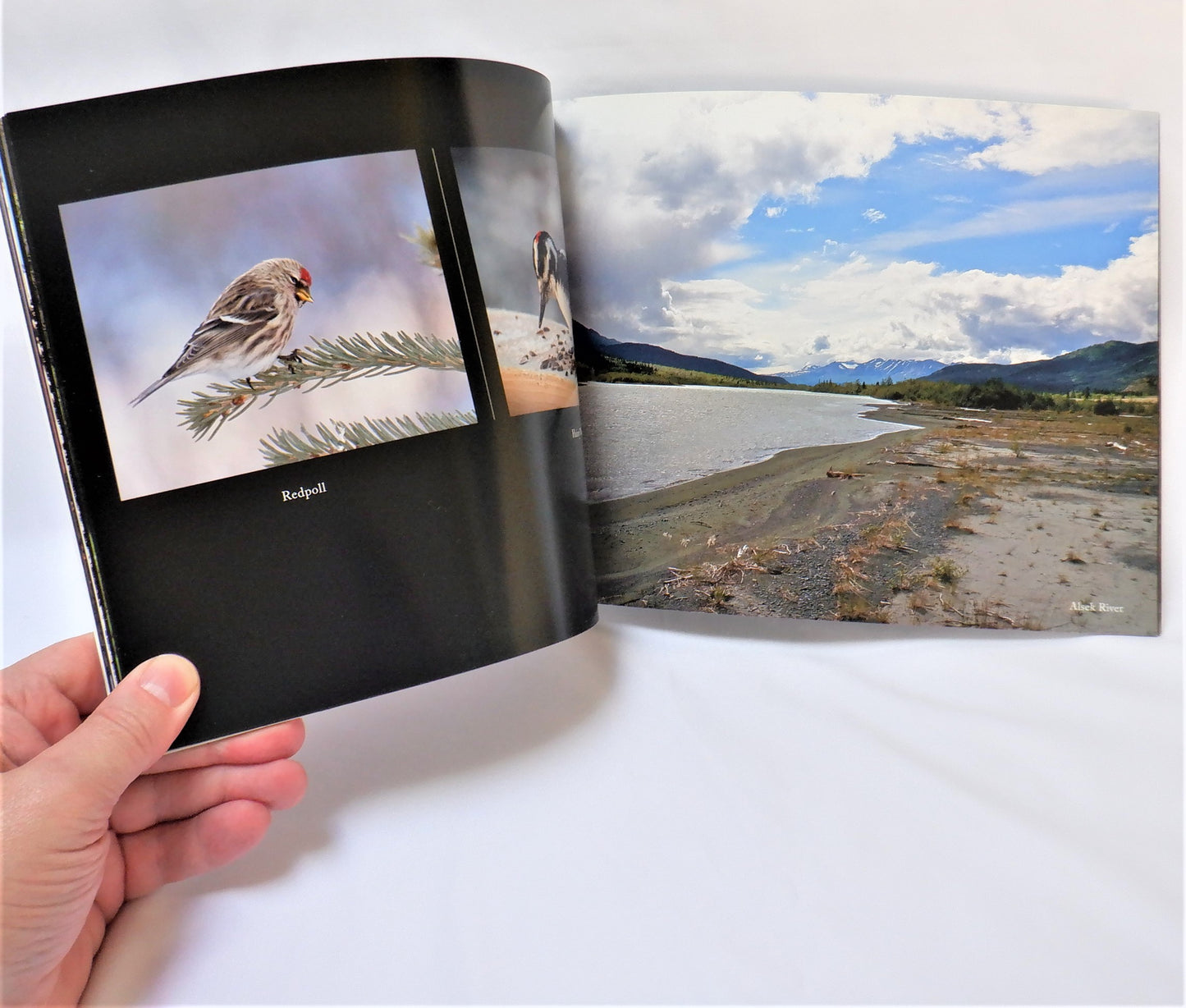 KLUANE MAGIC, A Pictorial Introduction to Kluane Country in the Yukon Territory by Brigitte Geske (2011-1st Ed.)