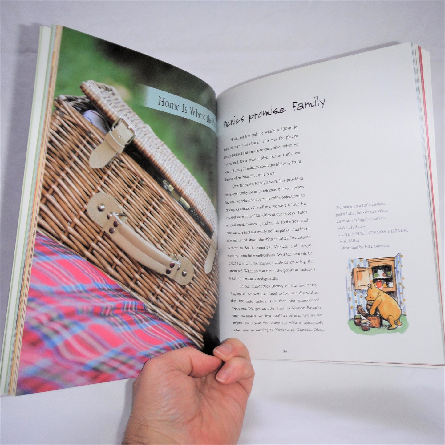 PICNIC IN PISTICCI; My Search for the Perfect Picnic, by Tina Marie Theresa D'Alessandro Powell (1st Ed. SIGNED)