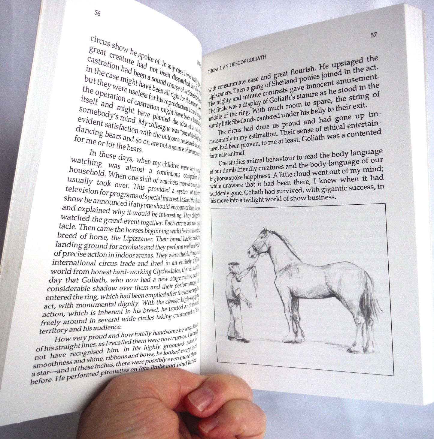 HORSE TWILIGHT, Stories by Andrew F. Fraser (1st Ed. SIGNED)