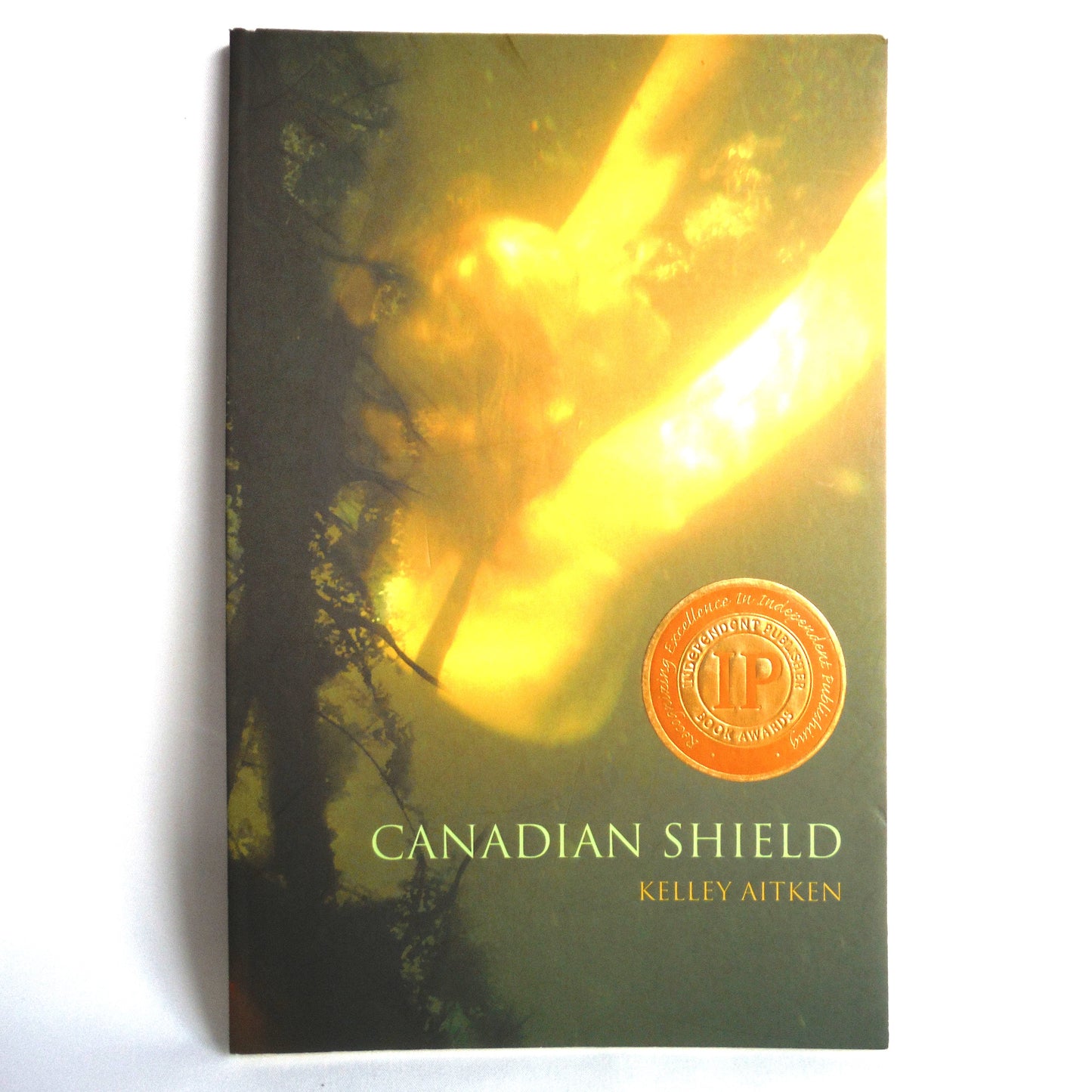 CANADIAN SHIELD, A Short Fiction Collection by Kelly Aitken (1st Ed. SIGNED)