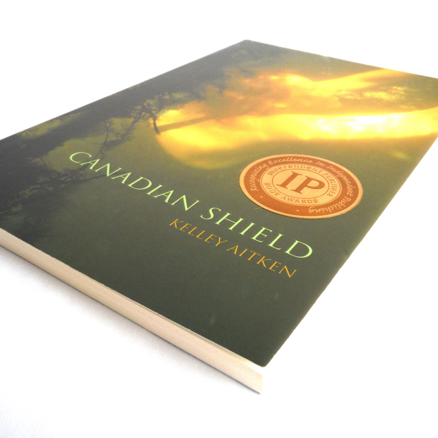 CANADIAN SHIELD, A Short Fiction Collection by Kelly Aitken (1st Ed. SIGNED)