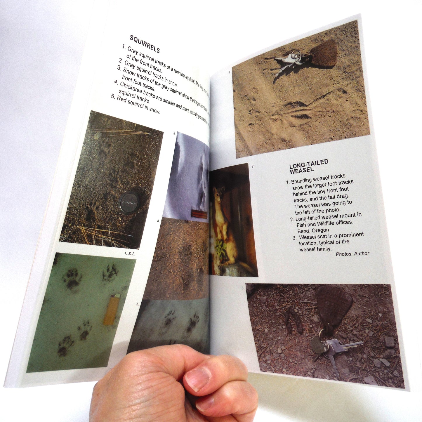 WILDERNESS TRACKS, How to Sleuth Out Wild Creatures and Wayward Humans, by Barbara Butler (1997 1st Ed.)